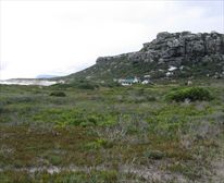 Table Mountain National Park - Table Mountain National Park