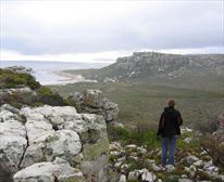 Table Mountain National Park - Table Mountain National Park